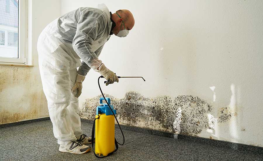 mold remediation